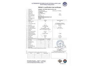FCAW-FM2-PA（ss，mb）---Liu Wenlong